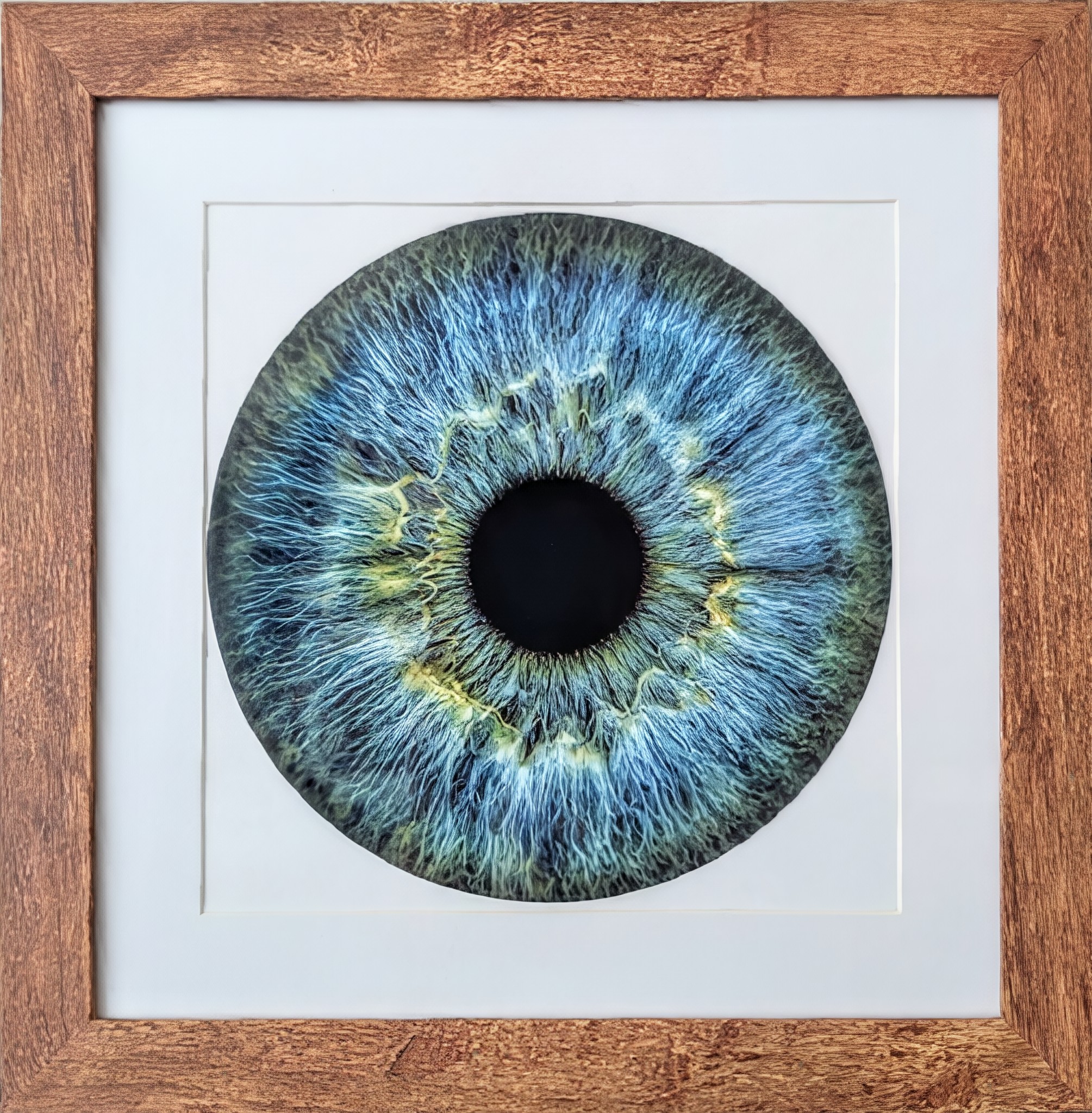 Framed 8X8 Inch Print Iris Art